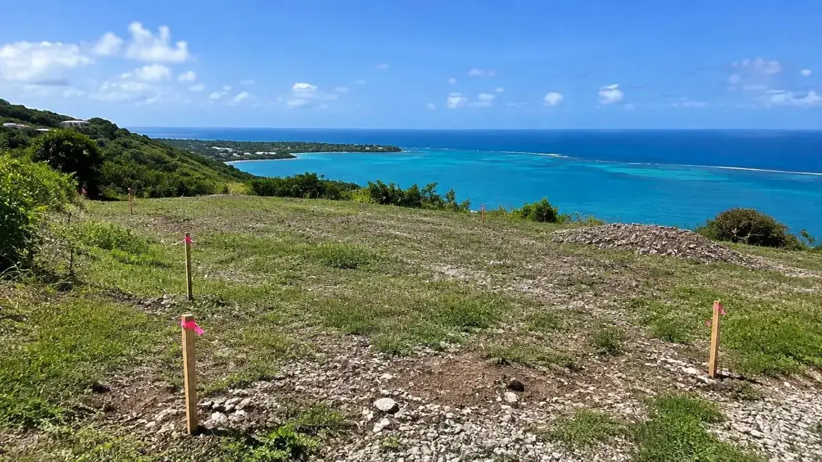 Buying Land or Property in St. Vincent from Overseas: A Checklist for the Diaspora