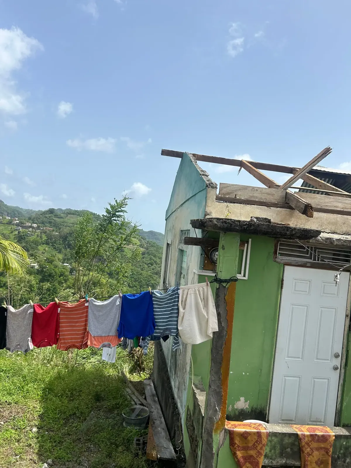 Post-Disaster Price Surges