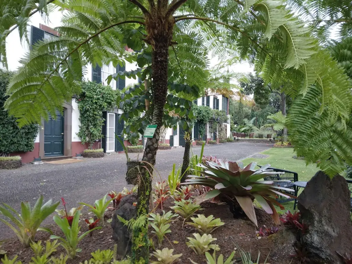 Close-up of a well-maintained tropical garden with native plants and stone pathways.
