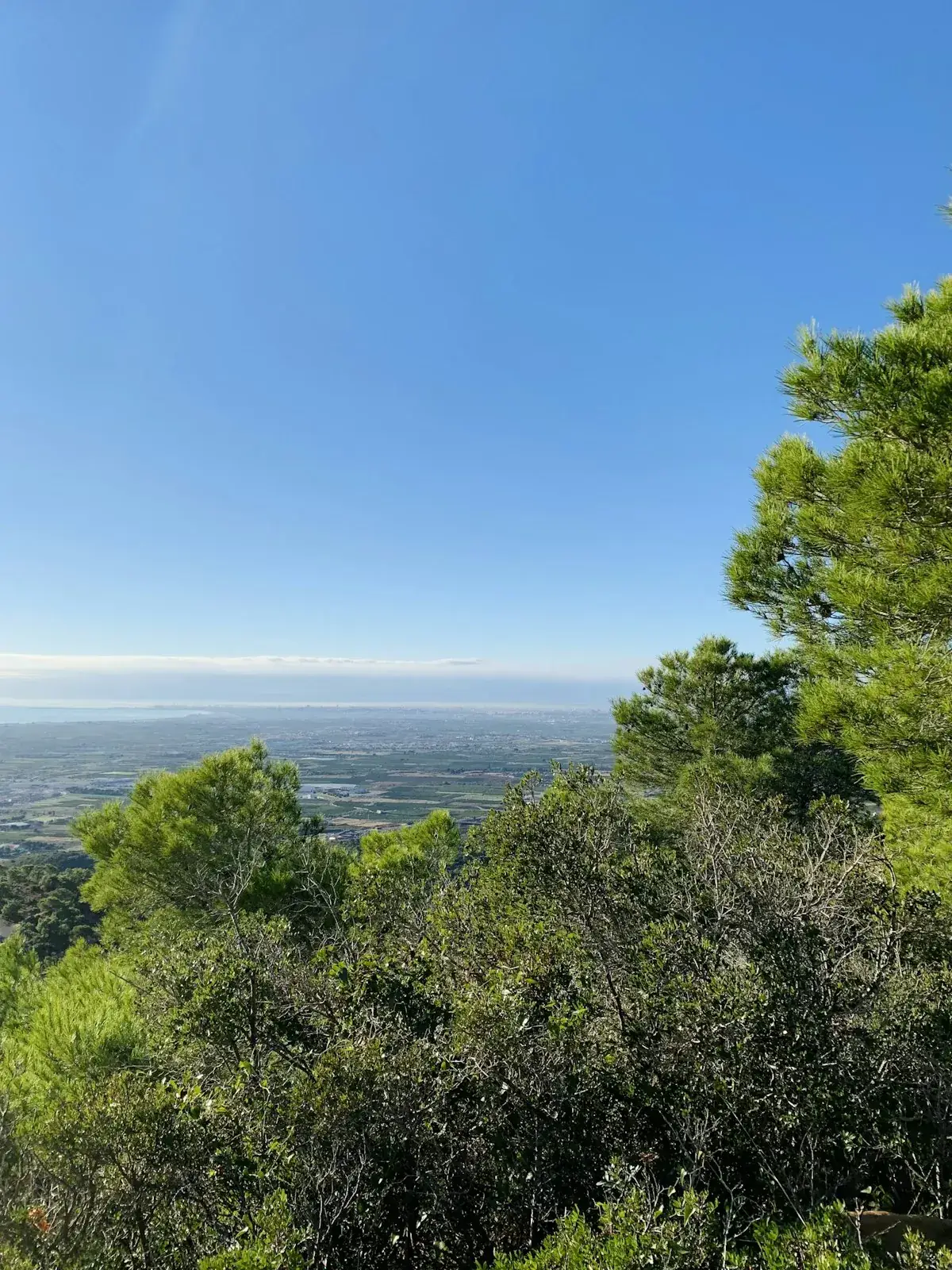 Wide shot of a cleared land parcel with distant ocean views under a bright sky.